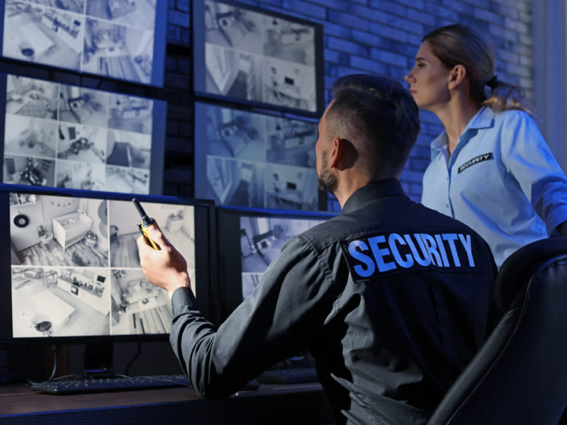 Автономная охранная система VS Охранная система для недвижимости от Цезарь Сателлит Автономная охранная система VS Охранная система для недвижимости от Цезарь Сателлит